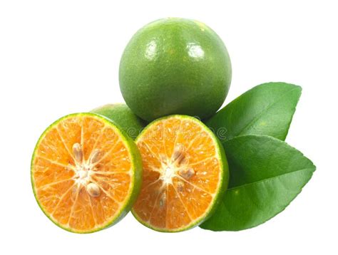 Calamansi Definition & Meaning .